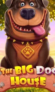 The Big Dog House